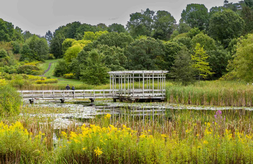 F. R. Newman Arboretum, United States